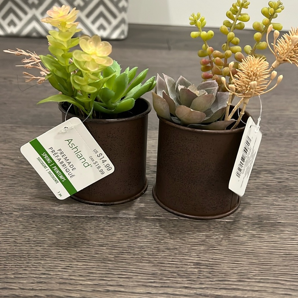 Two Artificial Plants
